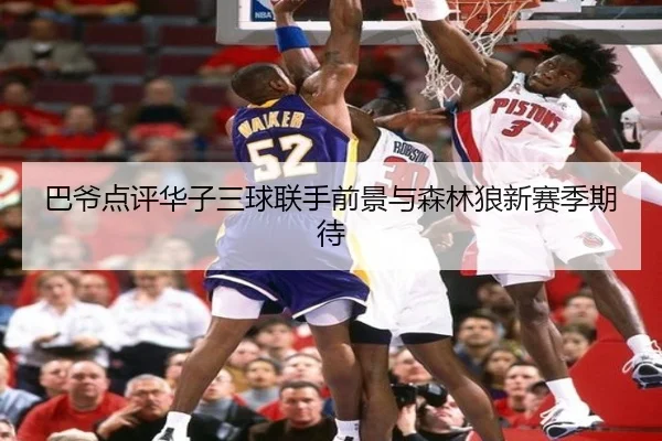 巴爷点评华子三球联手前景与森林狼新赛季期待